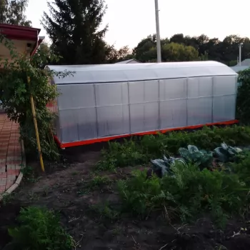 Отзыв о нашей теплицe от Константин