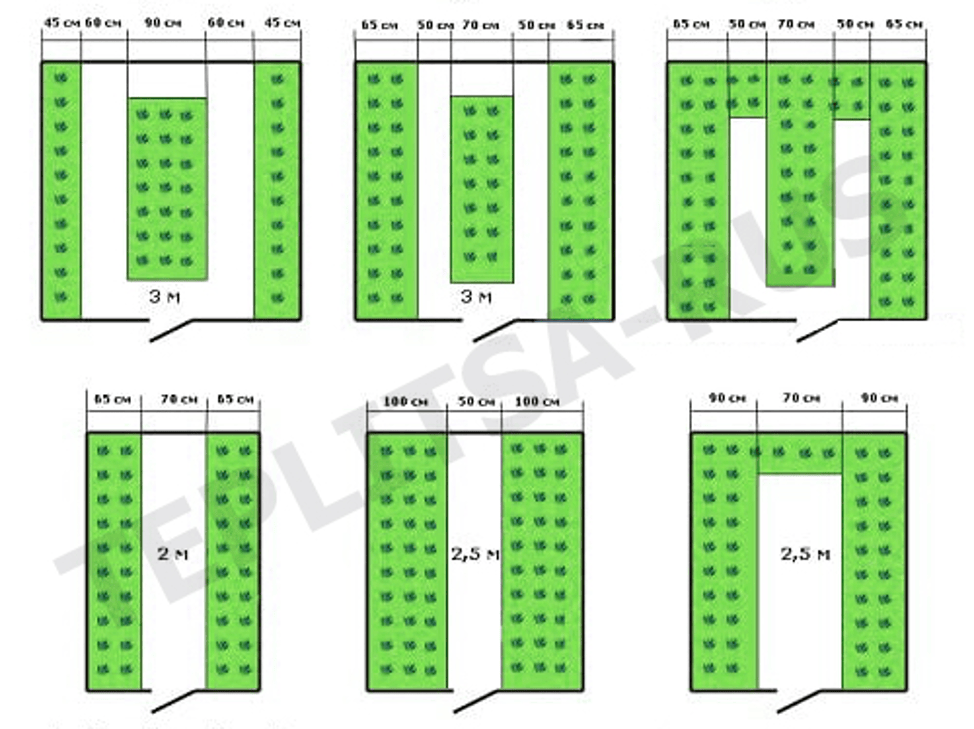 Как разместить грядки в теплице